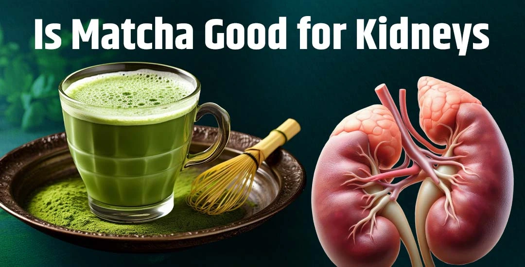 Is Matcha Good for Kidney Health? Expert Guide